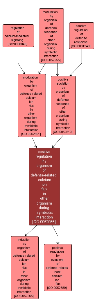 GO:0052065 - positive regulation by organism of defense-related calcium ion flux in other organism during symbiotic interaction (interactive image map)