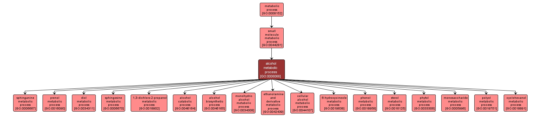 GO:0006066 - alcohol metabolic process (interactive image map)