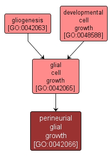 GO:0042066 - perineurial glial growth (interactive image map)