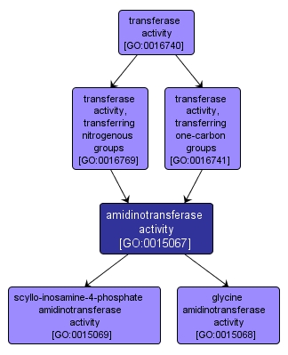 GO:0015067 - amidinotransferase activity (interactive image map)