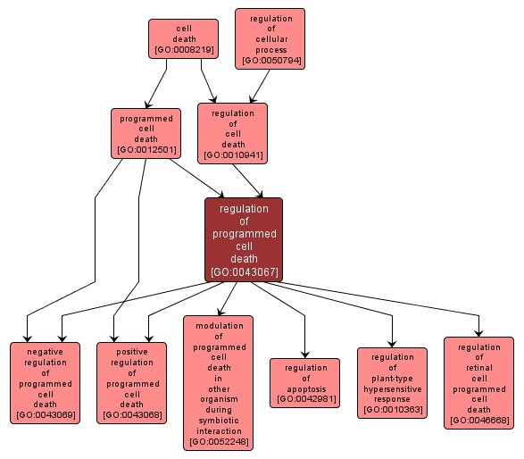 GO:0043067 - regulation of programmed cell death (interactive image map)