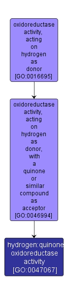 GO:0047067 - hydrogen:quinone oxidoreductase activity (interactive image map)