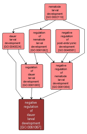 GO:0061067 - negative regulation of dauer larval development (interactive image map)