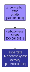 GO:0004068 - aspartate 1-decarboxylase activity (interactive image map)