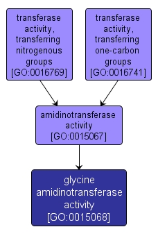 GO:0015068 - glycine amidinotransferase activity (interactive image map)