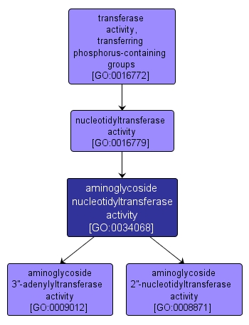 GO:0034068 - aminoglycoside nucleotidyltransferase activity (interactive image map)