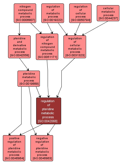 GO:0042068 - regulation of pteridine metabolic process (interactive image map)