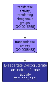 GO:0004069 - L-aspartate:2-oxoglutarate aminotransferase activity (interactive image map)