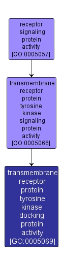 GO:0005069 - transmembrane receptor protein tyrosine kinase docking protein activity (interactive image map)