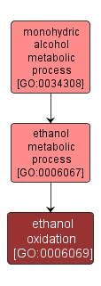GO:0006069 - ethanol oxidation (interactive image map)