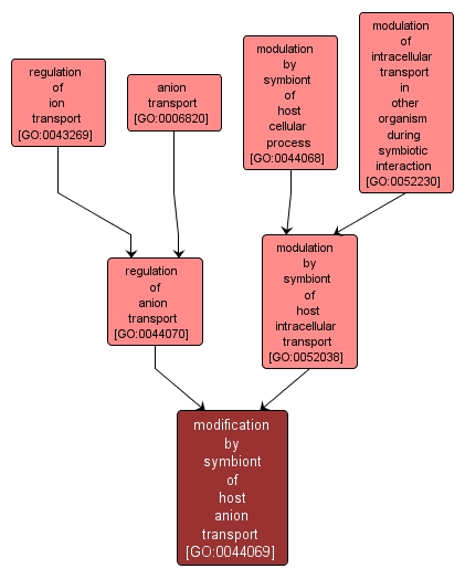GO:0044069 - modification by symbiont of host anion transport (interactive image map)