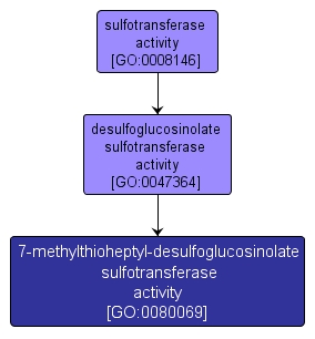 GO:0080069 - 7-methylthioheptyl-desulfoglucosinolate sulfotransferase activity (interactive image map)