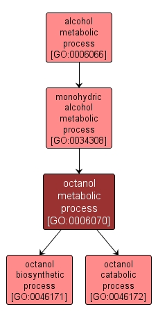 GO:0006070 - octanol metabolic process (interactive image map)