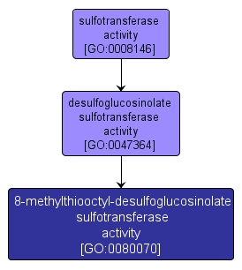 GO:0080070 - 8-methylthiooctyl-desulfoglucosinolate sulfotransferase activity (interactive image map)