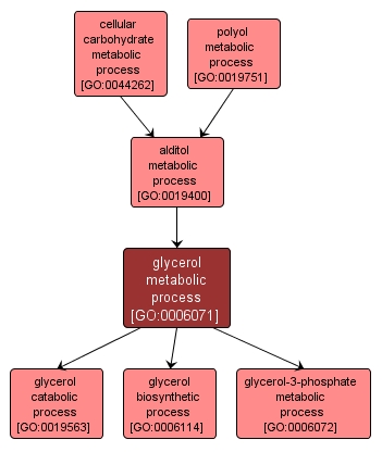 GO:0006071 - glycerol metabolic process (interactive image map)