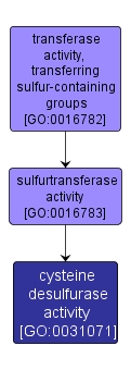 GO:0031071 - cysteine desulfurase activity (interactive image map)