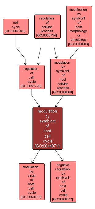 GO:0044071 - modulation by symbiont of host cell cycle (interactive image map)