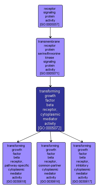 GO:0005072 - transforming growth factor beta receptor, cytoplasmic mediator activity (interactive image map)