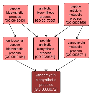 GO:0033072 - vancomycin biosynthetic process (interactive image map)
