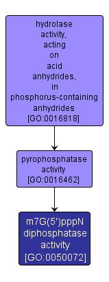 GO:0050072 - m7G(5')pppN diphosphatase activity (interactive image map)