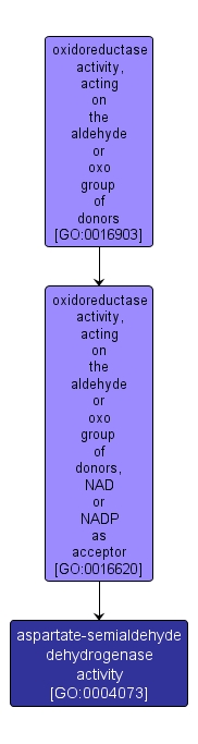 GO:0004073 - aspartate-semialdehyde dehydrogenase activity (interactive image map)