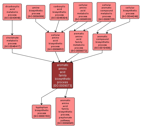 GO:0009073 - aromatic amino acid family biosynthetic process (interactive image map)