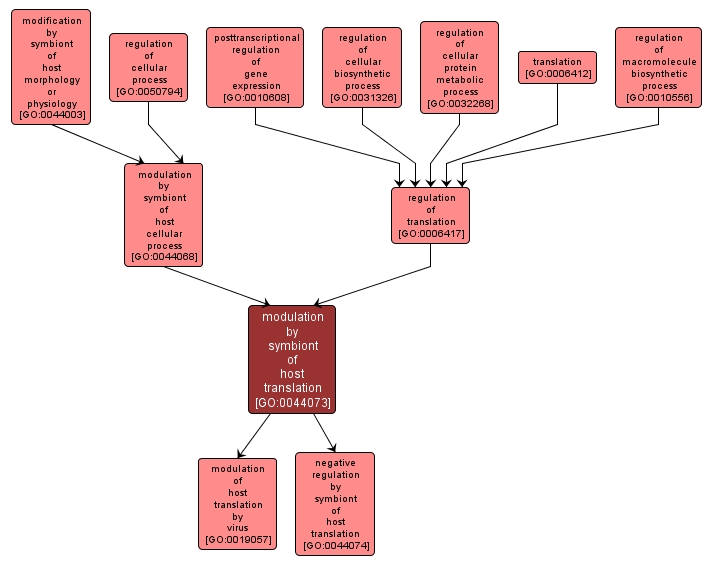 GO:0044073 - modulation by symbiont of host translation (interactive image map)