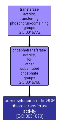 GO:0051073 - adenosylcobinamide-GDP ribazoletransferase activity (interactive image map)