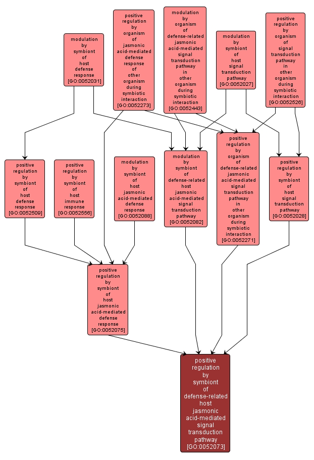 GO:0052073 - positive regulation by symbiont of defense-related host jasmonic acid-mediated signal transduction pathway (interactive image map)