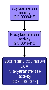 GO:0080073 - spermidine:coumaroyl CoA N-acyltransferase activity (interactive image map)