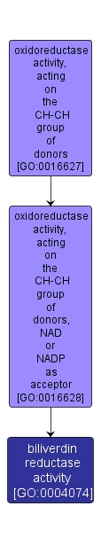 GO:0004074 - biliverdin reductase activity (interactive image map)