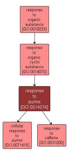 GO:0014074 - response to purine (interactive image map)