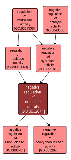 GO:0032074 - negative regulation of nuclease activity (interactive image map)