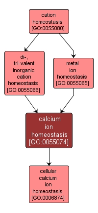 GO:0055074 - calcium ion homeostasis (interactive image map)