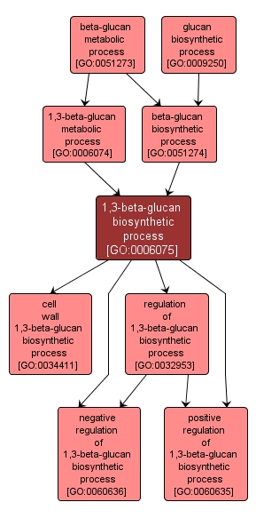 GO:0006075 - 1,3-beta-glucan biosynthetic process (interactive image map)