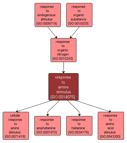 GO:0014075 - response to amine stimulus (interactive image map)