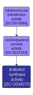 GO:0034075 - arabidiol synthase activity (interactive image map)
