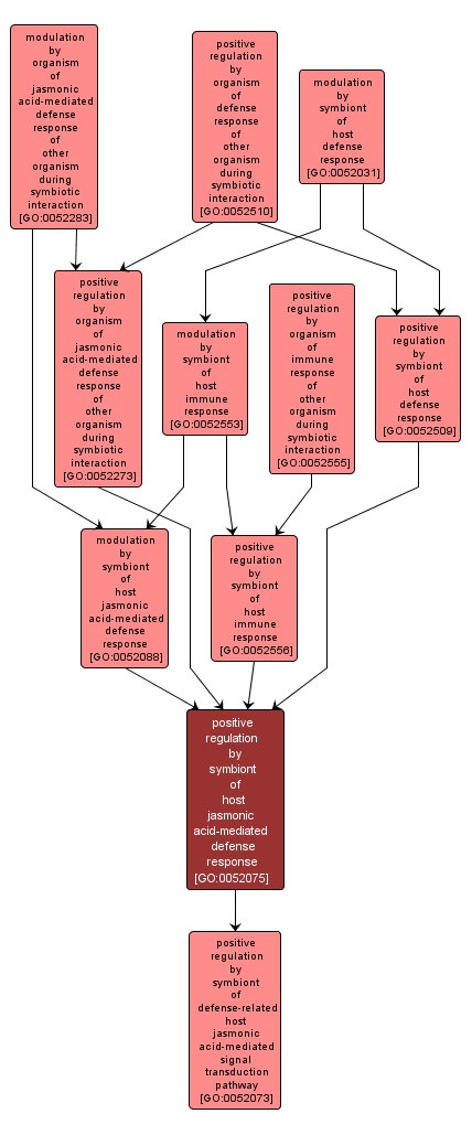 GO:0052075 - positive regulation by symbiont of host jasmonic acid-mediated defense response (interactive image map)