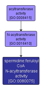 GO:0080075 - spermidine:feruloyl CoA N-acyltransferase activity (interactive image map)
