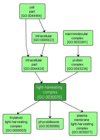 GO:0030076 - light-harvesting complex (interactive image map)