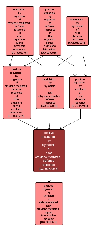GO:0052076 - positive regulation by symbiont of host ethylene-mediated defense response (interactive image map)