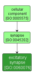 GO:0060076 - excitatory synapse (interactive image map)