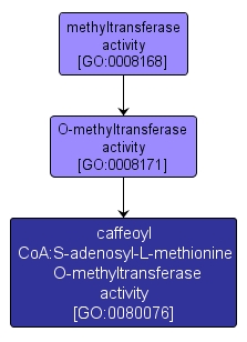 GO:0080076 - caffeoyl CoA:S-adenosyl-L-methionine O-methyltransferase activity (interactive image map)