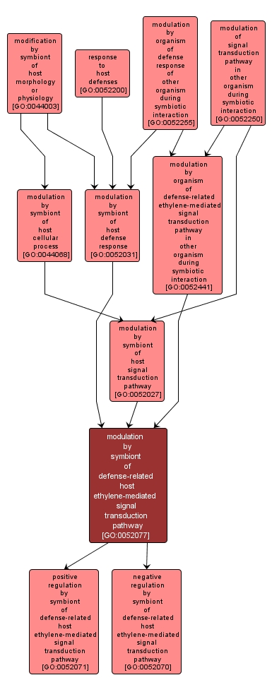GO:0052077 - modulation by symbiont of defense-related host ethylene-mediated signal transduction pathway (interactive image map)