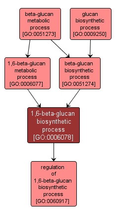 GO:0006078 - 1,6-beta-glucan biosynthetic process (interactive image map)
