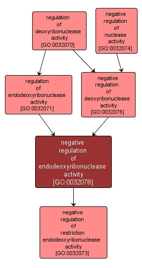 GO:0032078 - negative regulation of endodeoxyribonuclease activity (interactive image map)