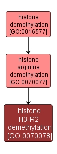 GO:0070078 - histone H3-R2 demethylation (interactive image map)