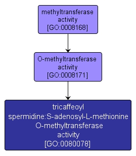 GO:0080078 - tricaffeoyl spermidine:S-adenosyl-L-methionine O-methyltransferase activity (interactive image map)