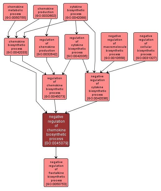 GO:0045079 - negative regulation of chemokine biosynthetic process (interactive image map)