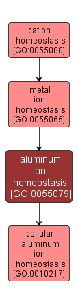 GO:0055079 - aluminum ion homeostasis (interactive image map)